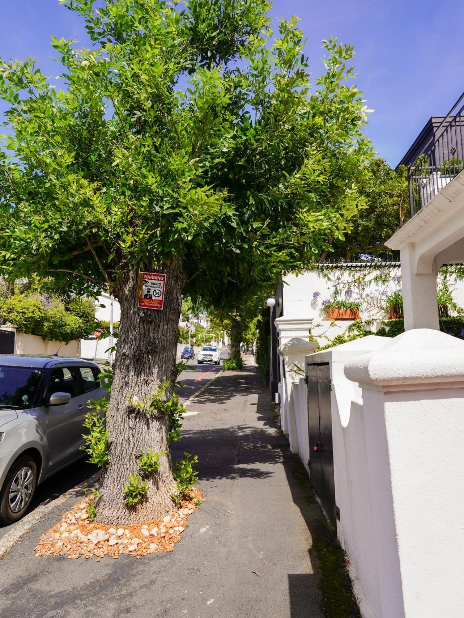 Belmont Guest House Cape Town Exterior photo